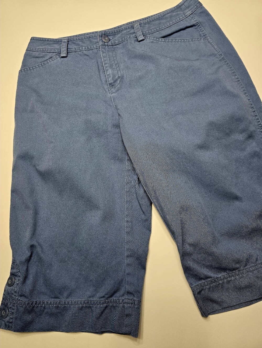 Rafaella Navy Blue Casual Shorts 12 Petite